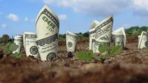 Trường hợp được giảm 80% tiền sử dụng đất