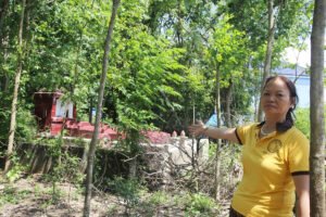 Vụ 300 m2 đất đóng thuế gần 4,5 tỉ đồng: Xử lý hồ sơ chậm, do đâu?